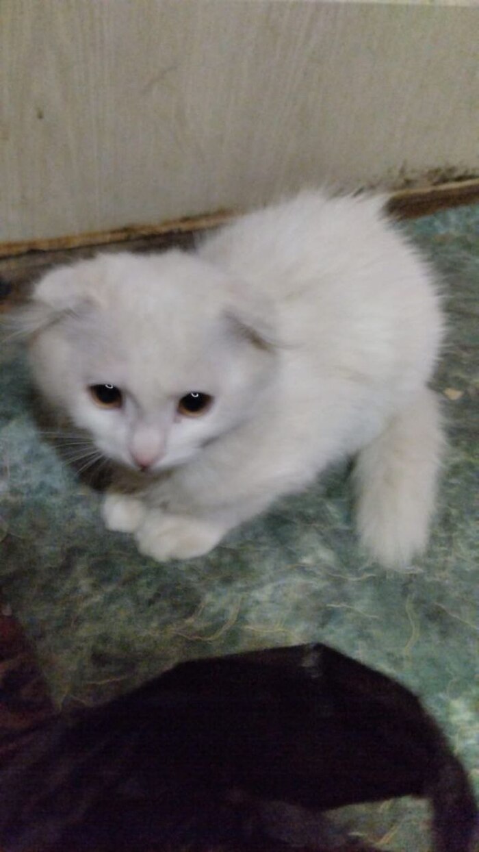    , ,   ,  ,  