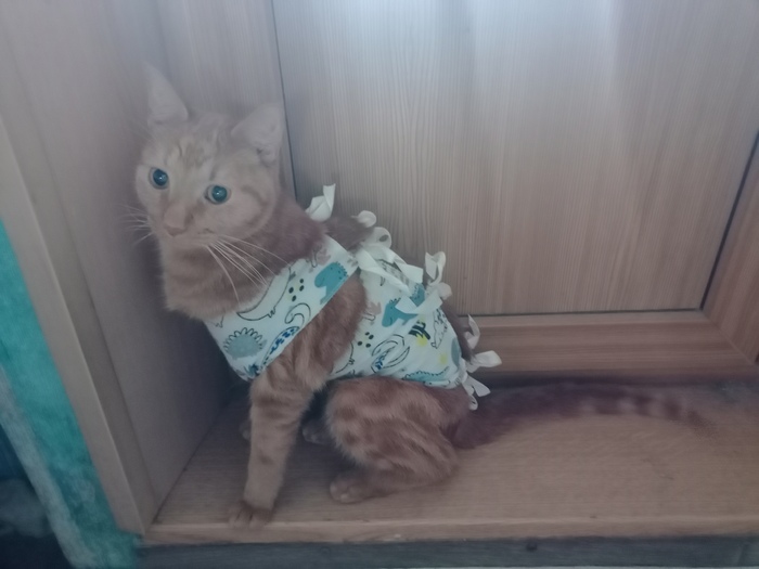 Воплощение несчастья и обиды