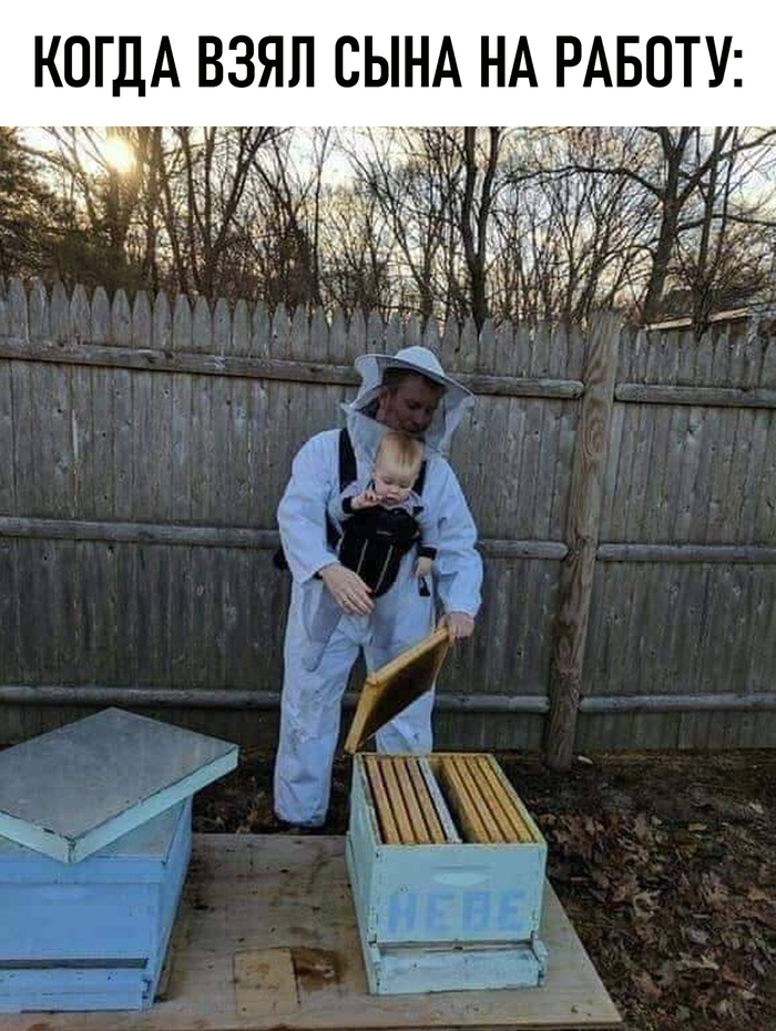   ,   , , , 