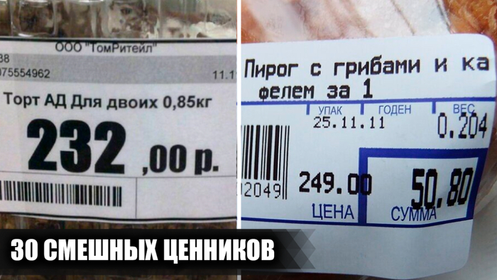 24    ,        , , , , ,   (), 