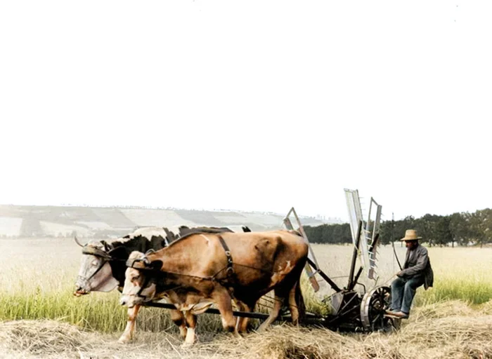 Осколки истории: Интересные и редкие ретро-фотографии Европы. 20 раскрашенных фотографий ХХ века. Часть 23 Португалия, Чехия, Франция, Германия, Нидерланды (Голландия), Швеция, Европа, Фотография, 20 век, Колоризация, Длиннопост