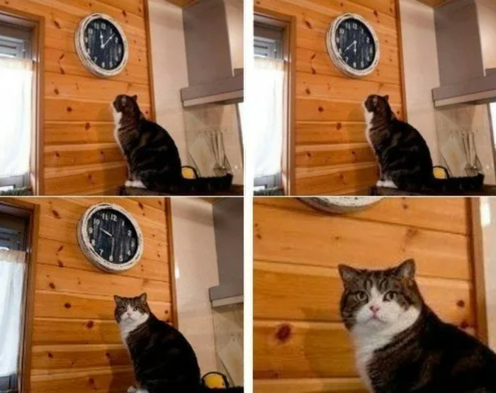  &quot;&quot;