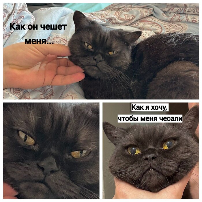    , , 