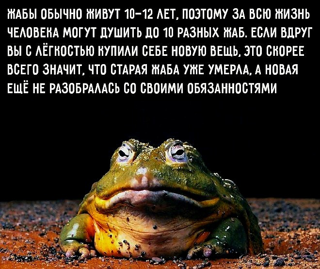   " ",  ? , , It Is Wednesday My Dudes, , , ,  , , , , 