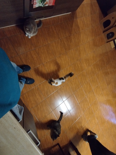 ����������� � �����������