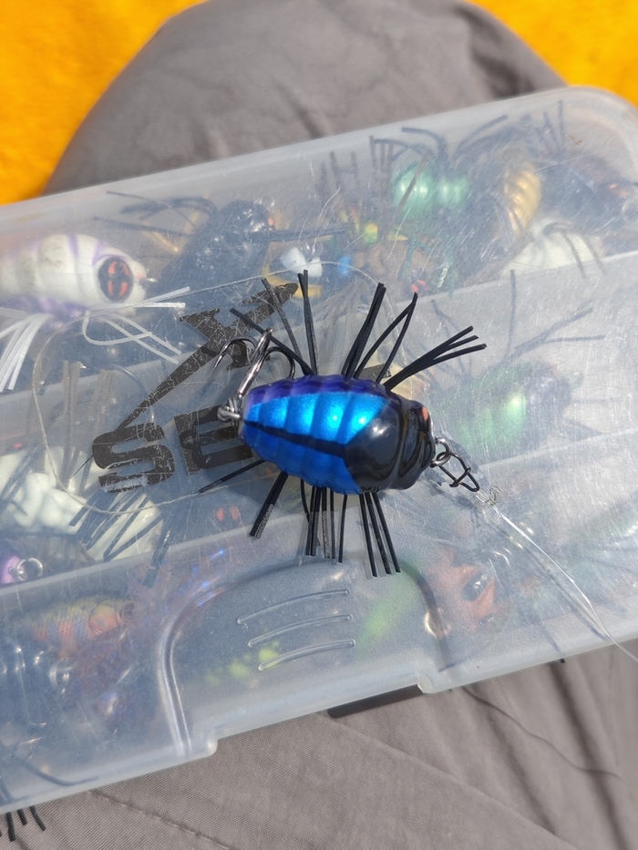 А под ним коробочка, полная чудес!