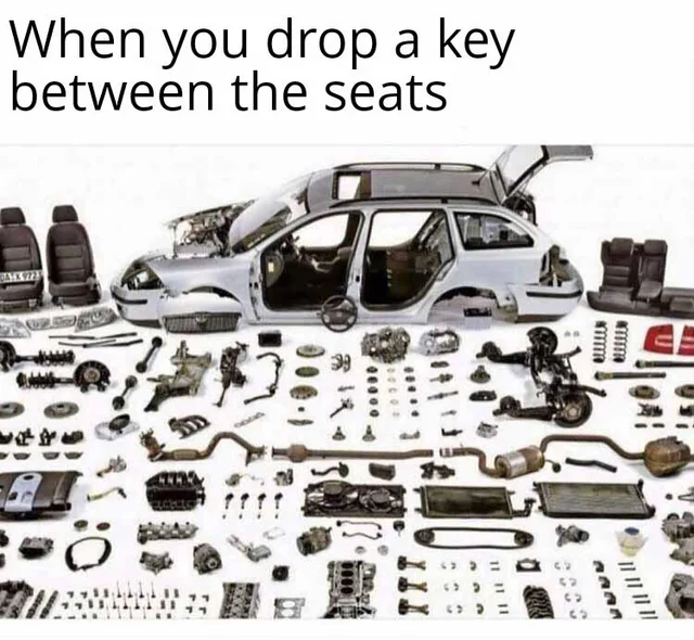 Memes in English Telegram (),  ,  , ,   ,  , ,  