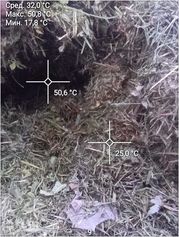 ������ ����� ������ ����.