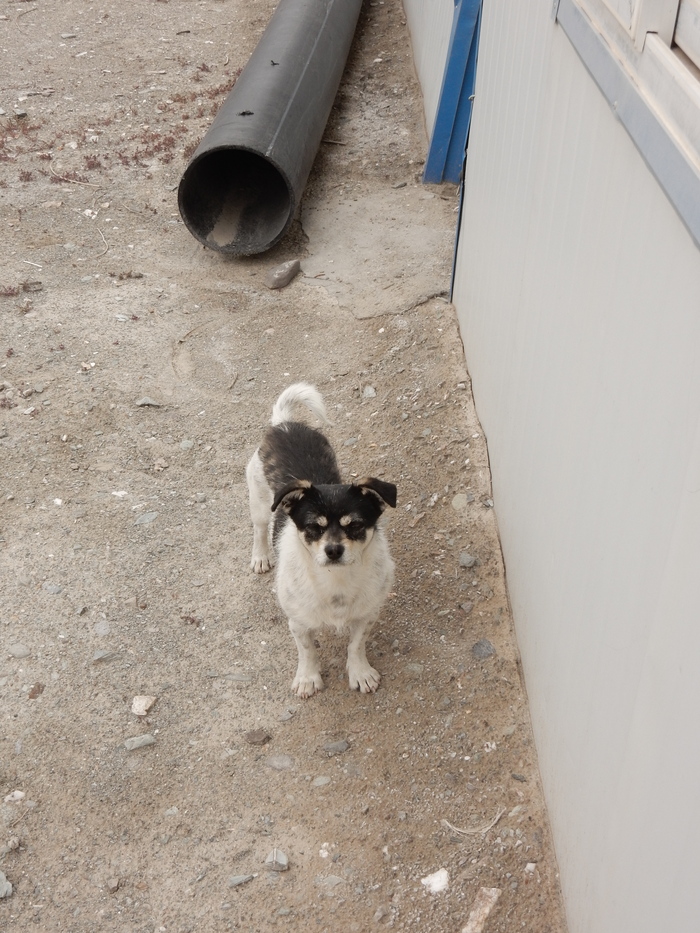   -,           &#x1F60F;: