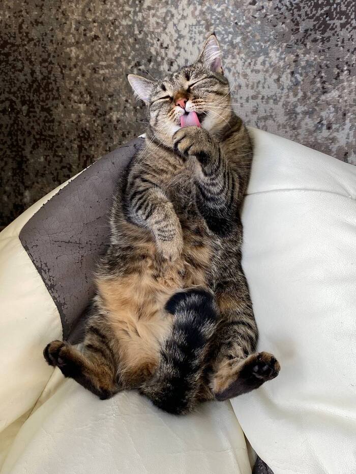   , , 