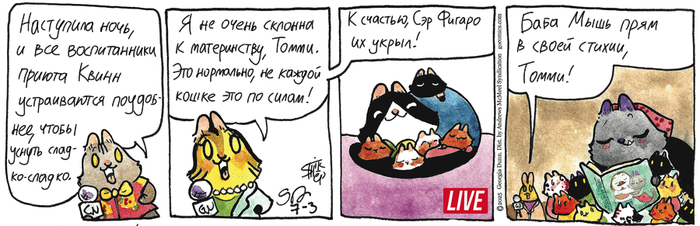   03.07.2025 ,   (), , 