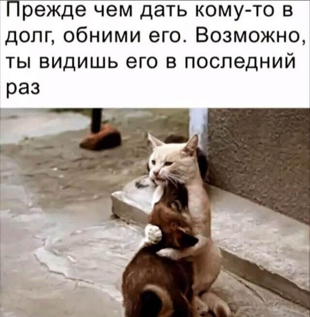   ,   , , , , , 