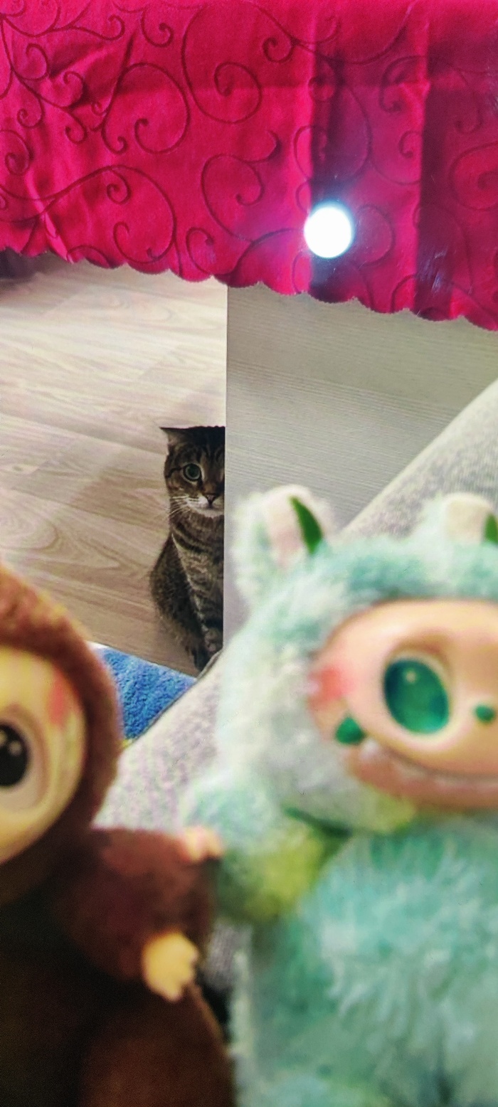 ����� ��� ������