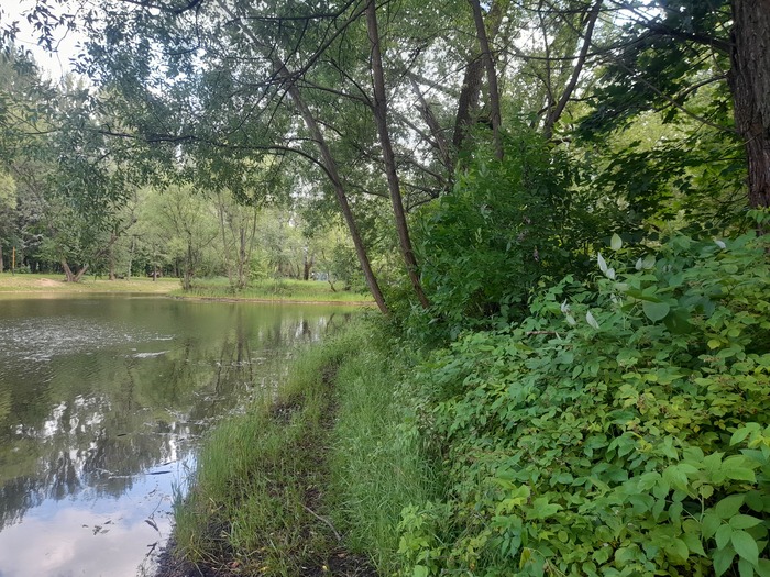 Большой Радужный пруд