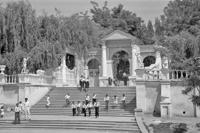 , 1953  -    .   , , , Tashkent, Telegram (), 