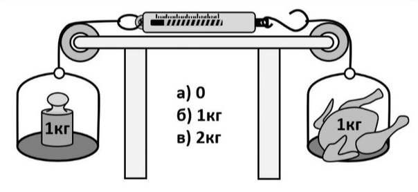 Что показывают пружинные весы?