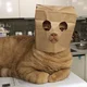 ����� ����� ������ ���� �����������