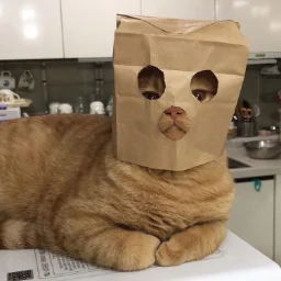 BrainfuckerU