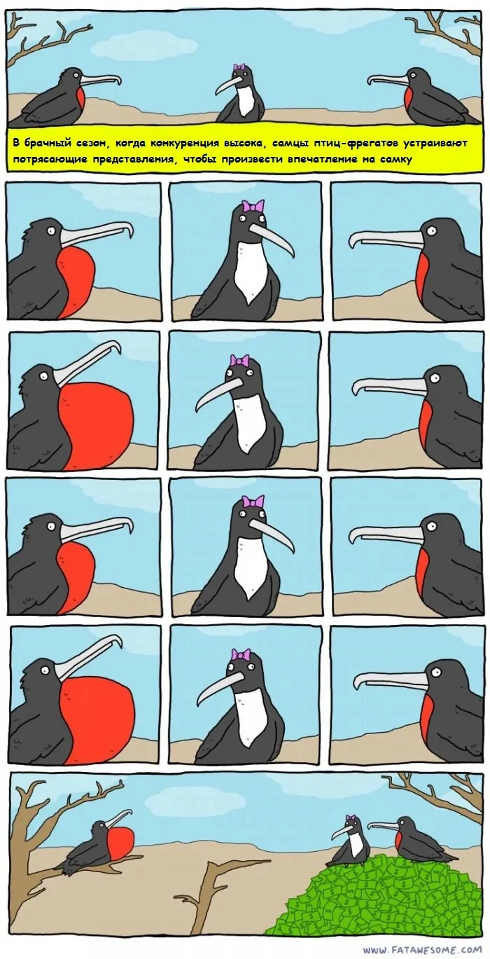 Брачный сезон - Картинка с текстом, Юмор, 9GAG, Комиксы