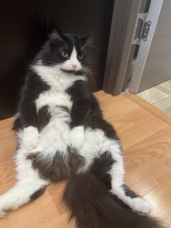 После работы надо отдохнуть