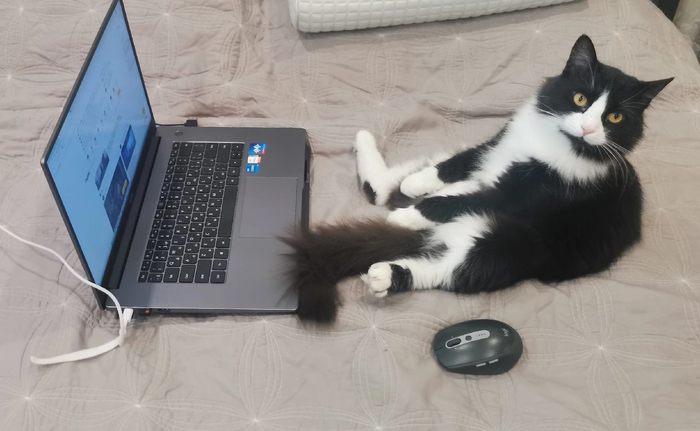 Горящий проект