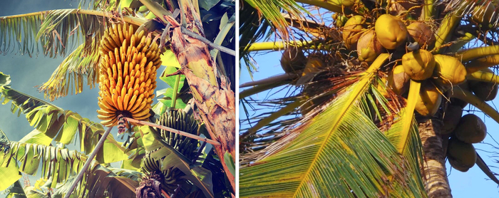 Как люди научились считать? Детская литература, Образование, Культура, Воспитание детей, Детский журнал, Лучик, Длиннопост