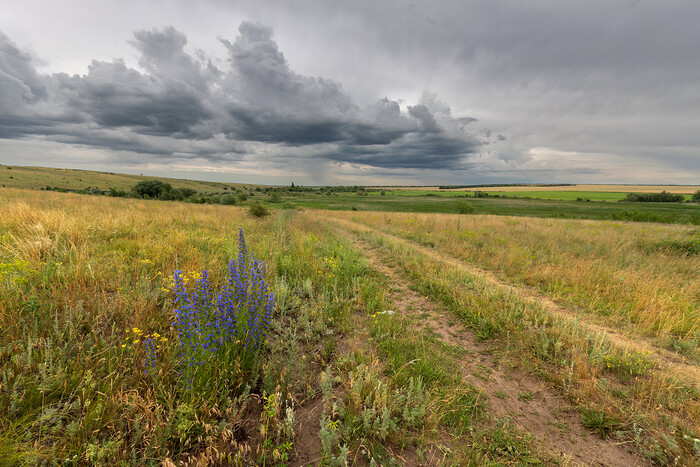 <a href="https://pikabu.ru/story/stepnyie_kartinki_12921957?u=https%3A%2F%2Fpikabu.ru%2Fsearch%3Fq%3D%25D0%25A1%25D1%2582%25D0%25B5%25D0%25BF%25D0%25BD%25D1%258B%25D0%25B5%2520%25D0%25BA%25D0%25B0%25D1%2580%25D1%2582%25D0%25B8%25D0%25BD%25D0%25BA%25D0%25B8%26st%3D3&t=https%3A%2F%2Fpikabu.ru%2Fsearch%3Fq%3D%D0%A1%D1%82%D0%B5%D0%BF%D0%BD%D1%8B%D0%B5%2B%D0%BA%D0%B0%D1%80%D1%82%D0%B8%D0%BD%D0%BA%D0%B8%26st%3D3&h=ab30e2988943ebfde4fb326ba45472ec68b67780" title="https://pikabu.ru/search?q=%D0%A1%D1%82%D0%B5%D0%BF%D0%BD%D1%8B%D0%B5%20%D0%BA%D0%B0%D1%80%D1%82%D0%..." target="_blank" rel="noopener">https://pikabu.ru/search?q=+&st=3</a>