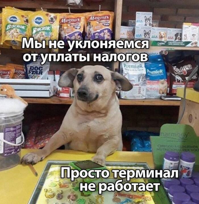 � �� ��� ����������� � ������ ����� ������ ��� ����� ������ ��������