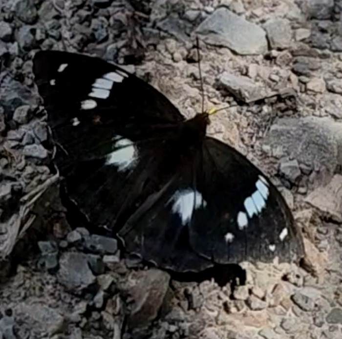    ,  , , , , 