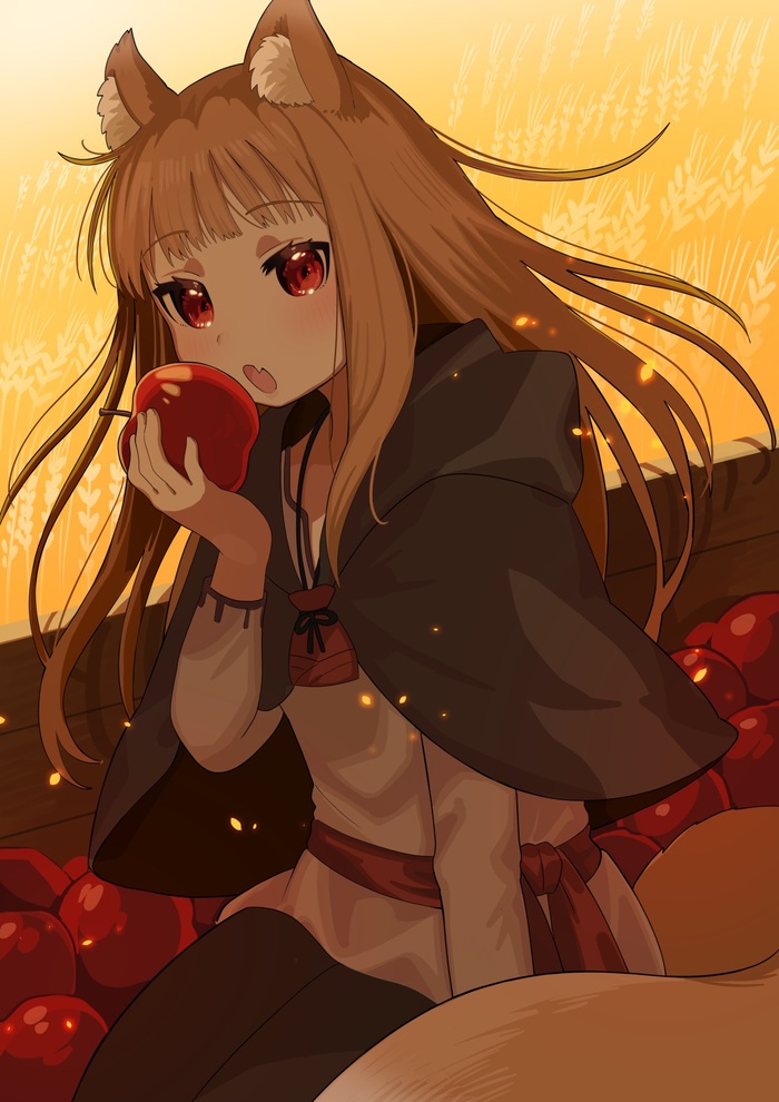 Holo Anime Art, , Spice and Wolf, Holo, Pixiv, Animal Ears