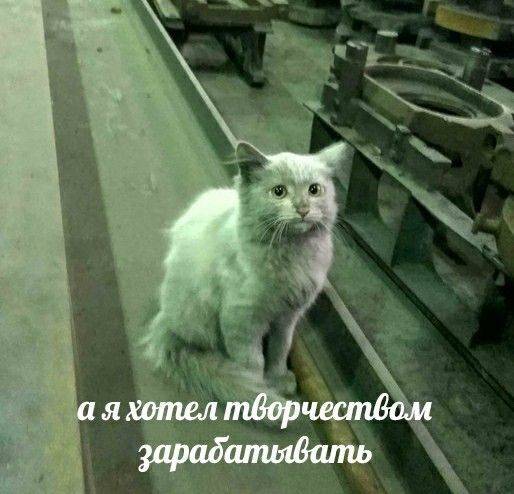     .   ,    ? , , , , ,  , , 