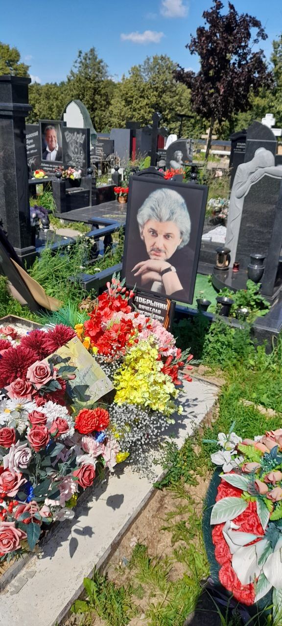 Вячеслав Добрынин