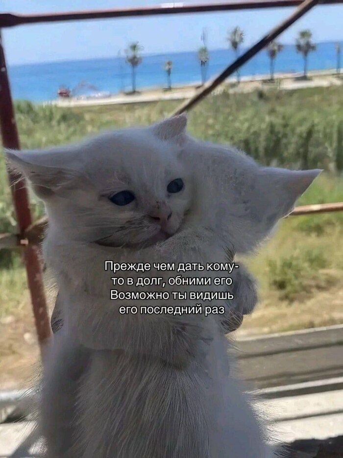     , , , 