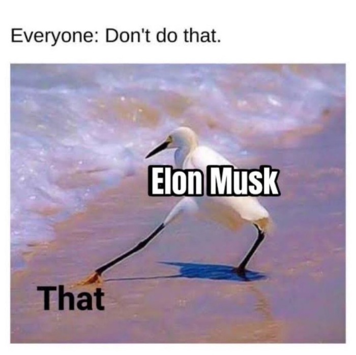     ,         AI- , , ,  ,  , , , , , , YouTube