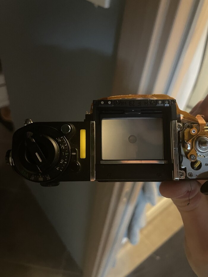 вы гляньте какова красота!