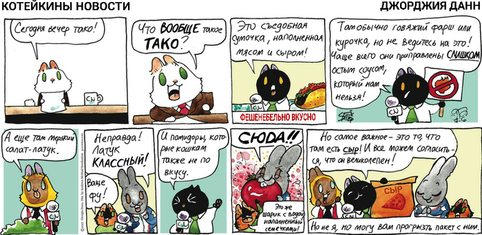 Котейкины Новости от 06.07.2025