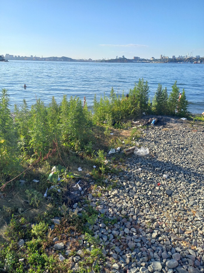  BlackMamba32      -  , . ,  -  