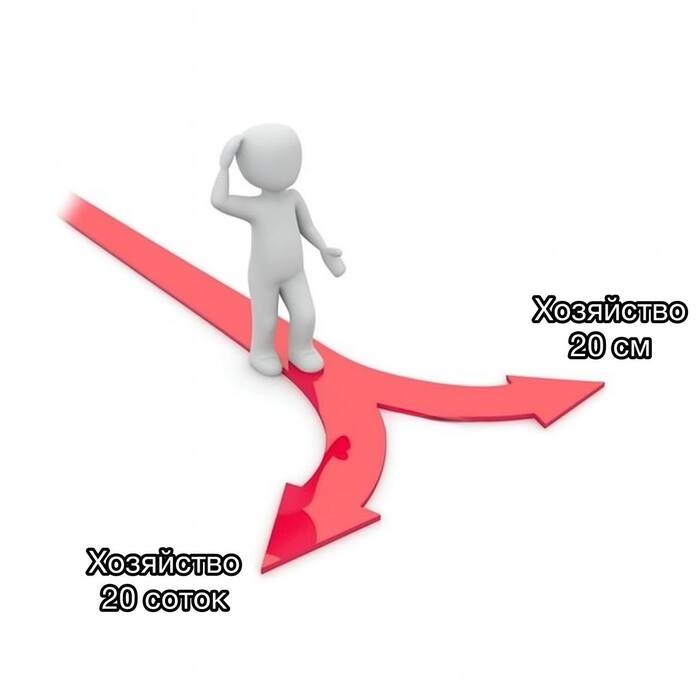  30      :  20 ,  40  , ,   , ,   