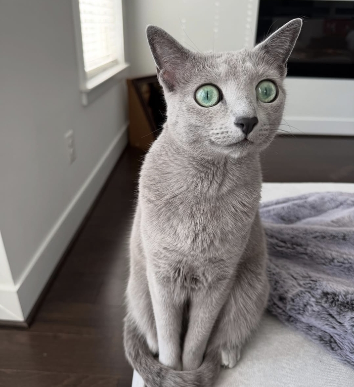   ,       ,  , , , , , , ,  , , , , , , 