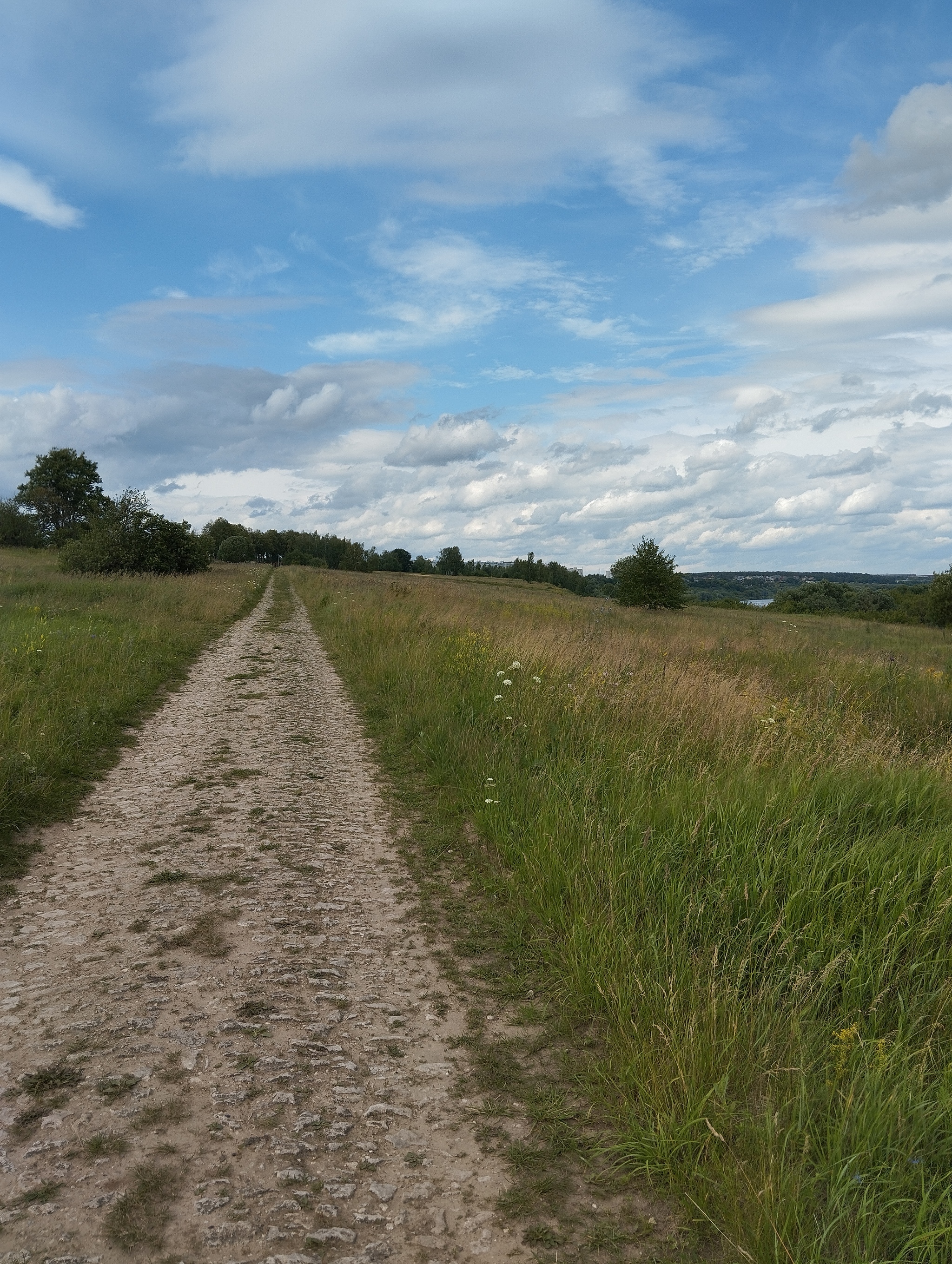 Walk, 20 km - My, Tourism, Hike, Russia, Moscow region, The photo, Church, Longpost
