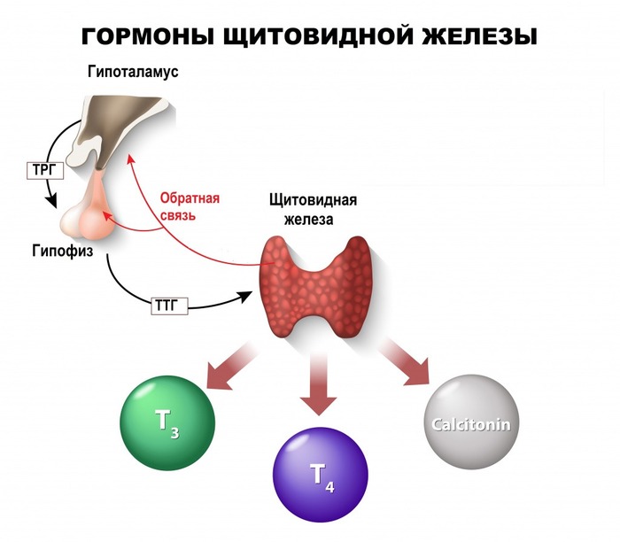 Все связано:)