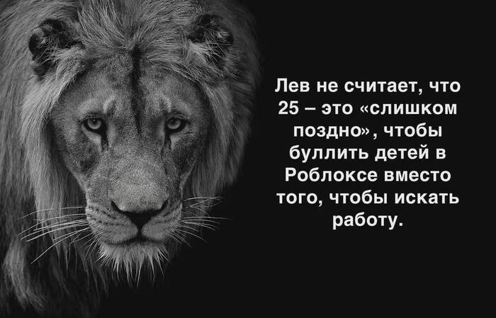 Решение взрослого льва