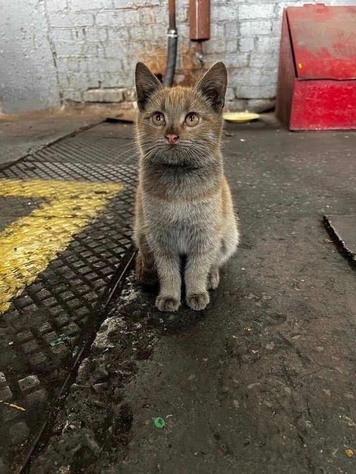  , , , 