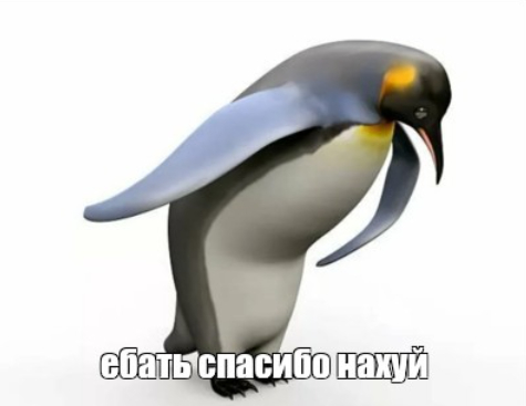         , , , ,  , , Instasamka,  , ,  , 
