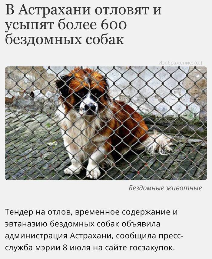       !  ,  ,  , , , , , , ,  , ,  , , 