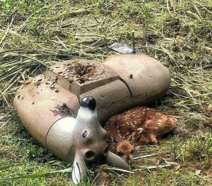 ,     ,     