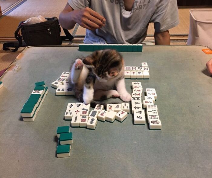 :         , , , , , , ,  , ,  , , 