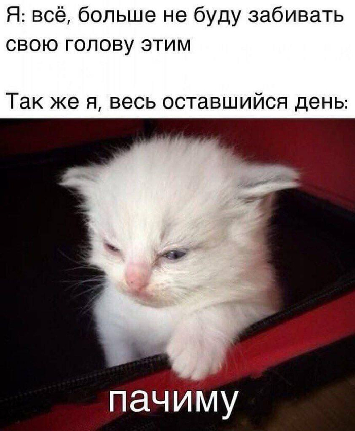 Вечные вопросы