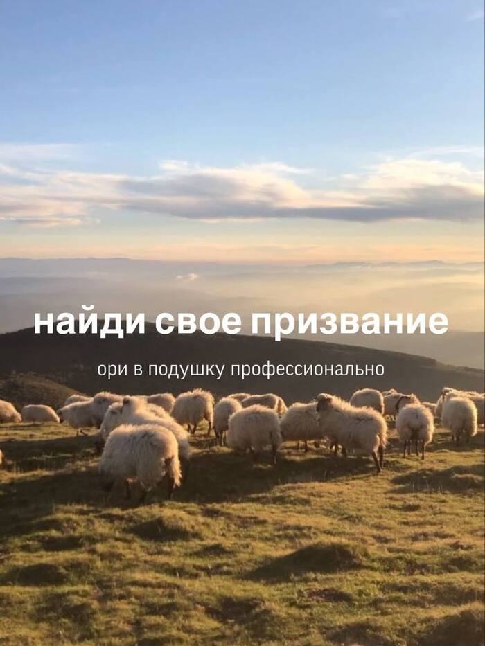   , , ,   , , , , 