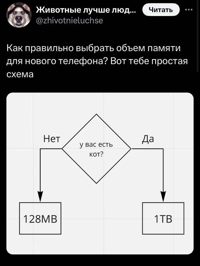     ? X (Twitter), , ,  , ,  , , -